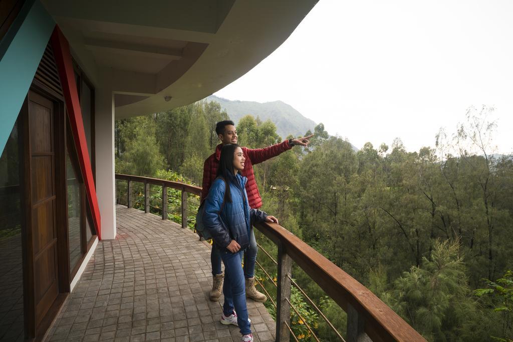 Pagupon Bromo Budget Lodge Exterior photo